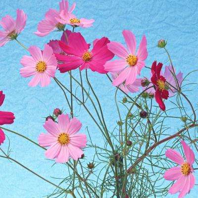 新版江南app登录